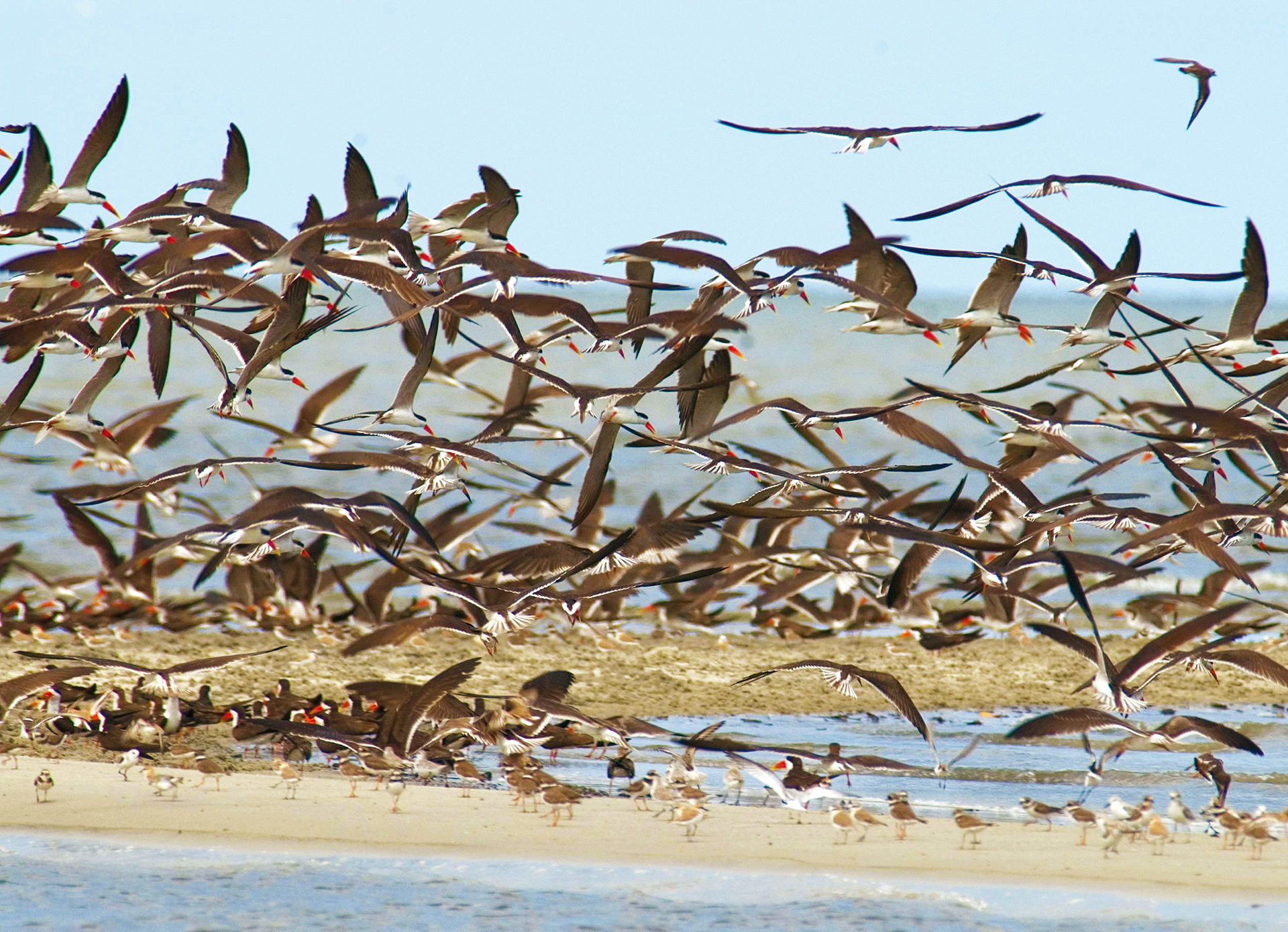 Akanda National Park