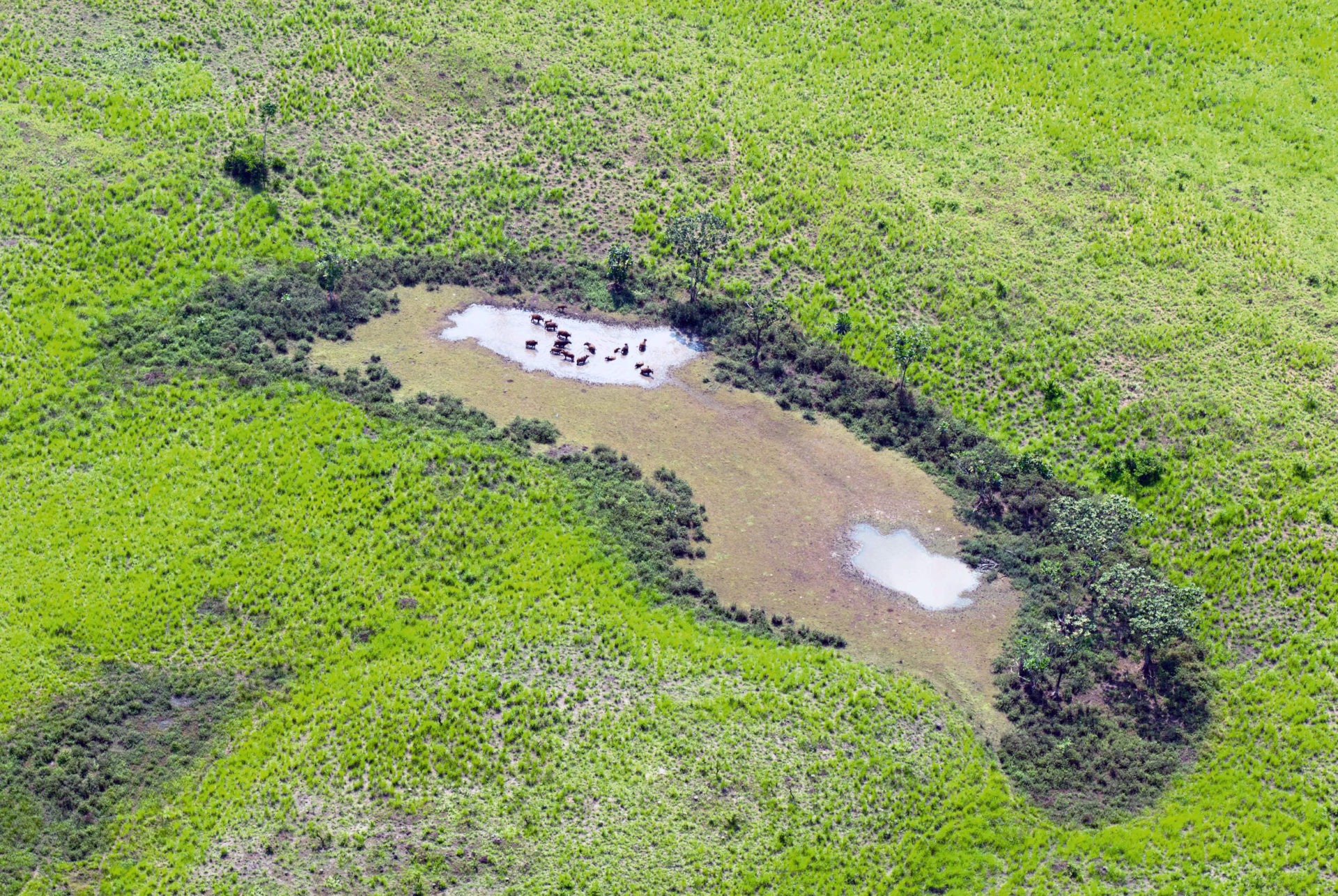 Moukalaba-Doudou National Park