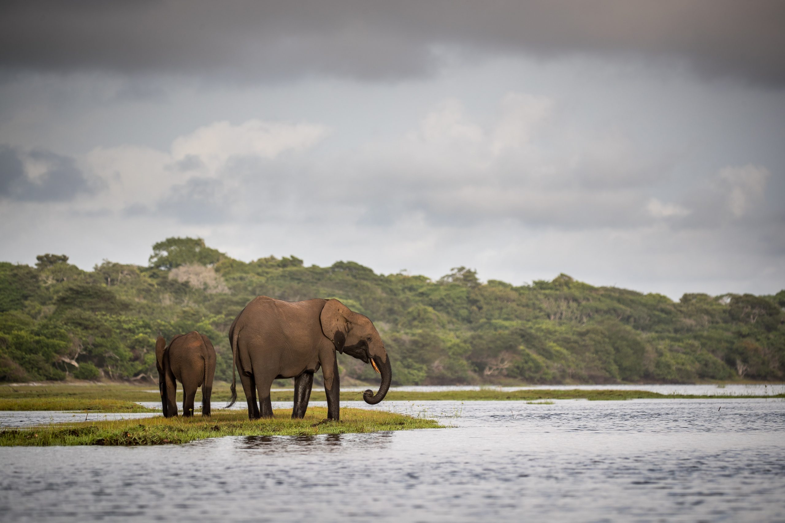 Loango National Park