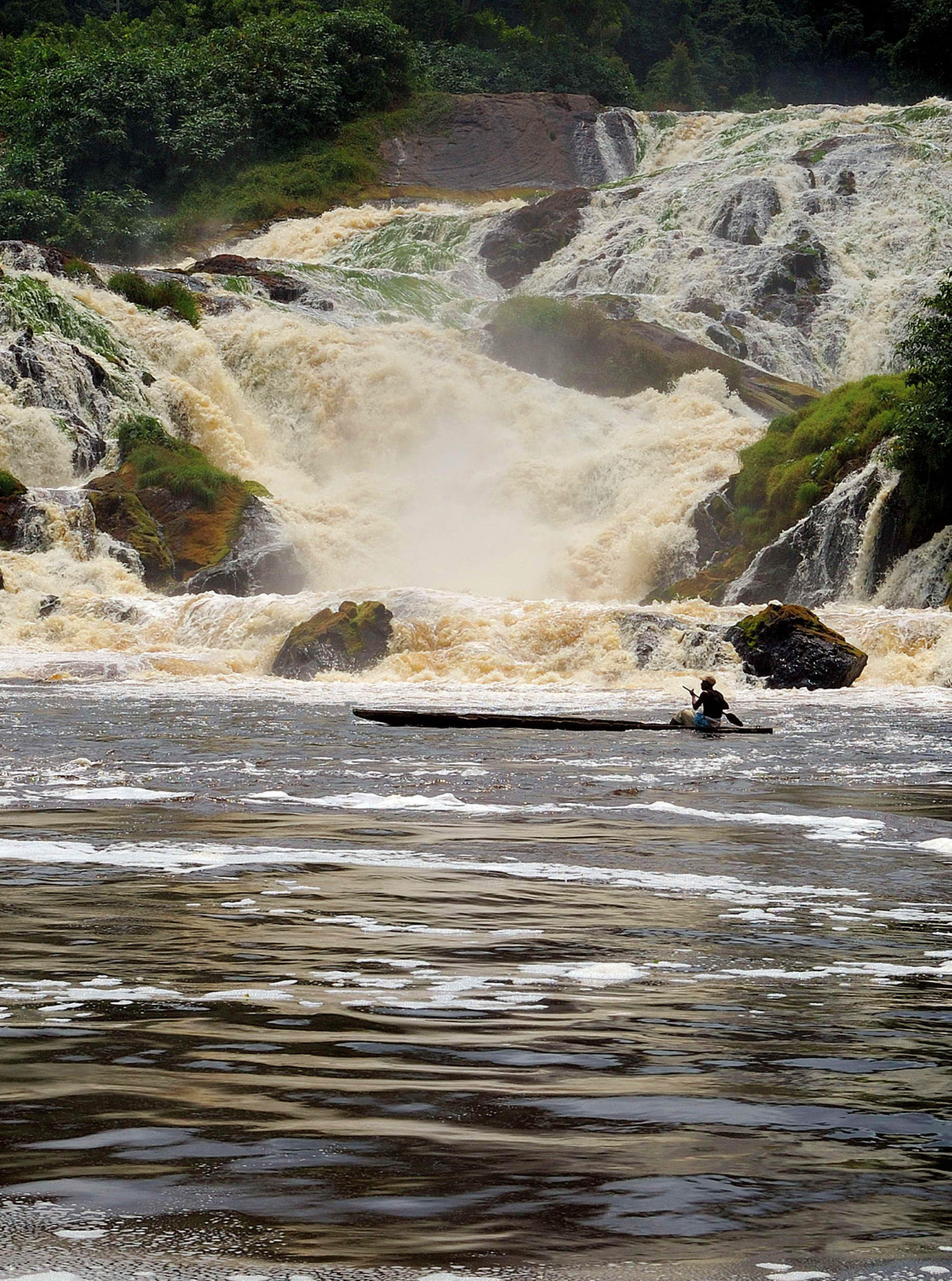 Ivindo National Park