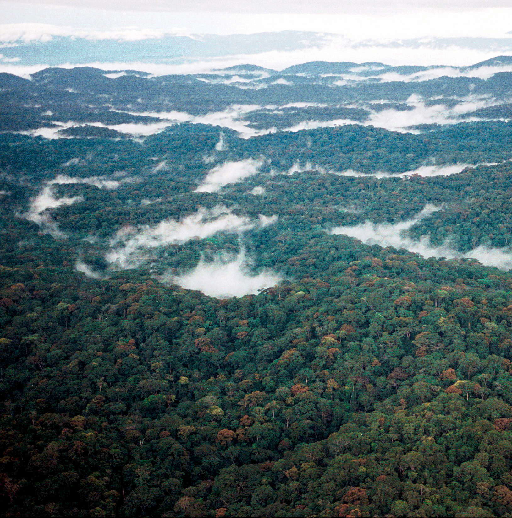 Crystal Mountains National Park