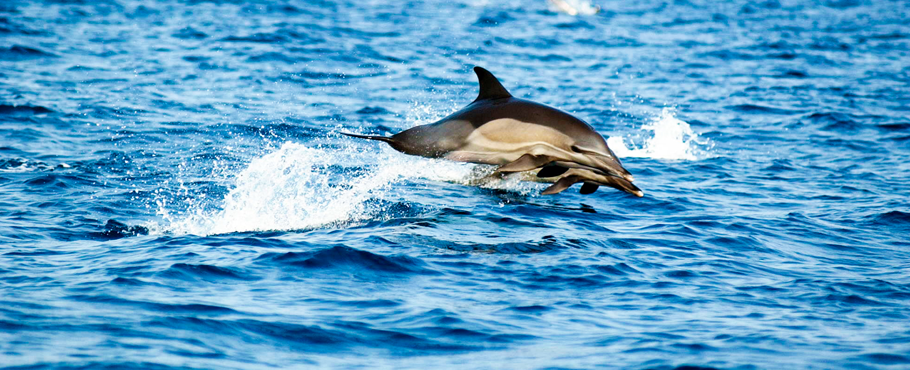 Pongara National Park