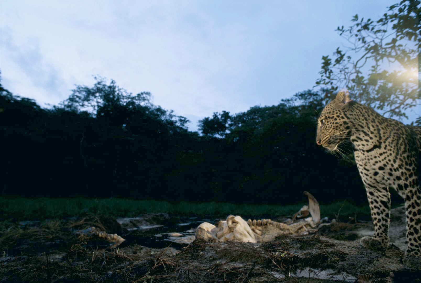 Mwagna National Park